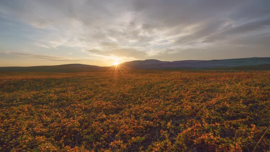 A sunset casts golden light over an expansive arctic tundra filled with orange autumn foliage