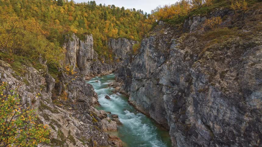 Stream flows over rocks in a forested mountain valley