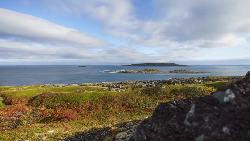 A rocky coastline bordered by open grassland at midday with waves crashing against the shore