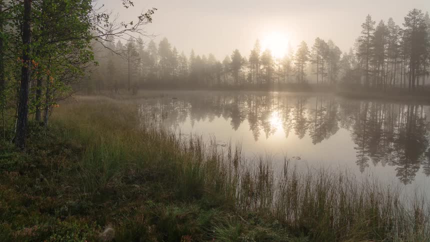 Fog is covering the lake as the sun rises