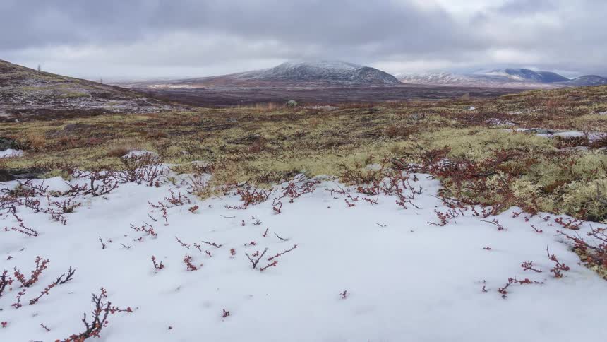 A wide grassland landscape with a mountain range in the background under a cloudy sky