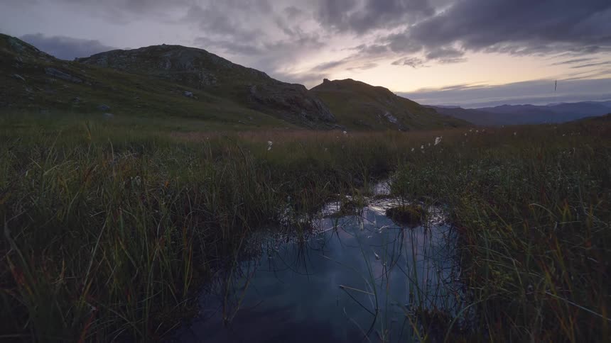 Wind blows the reeds around the small creek