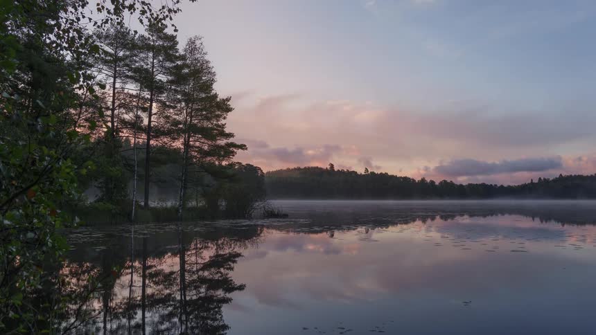 Fog rolls over the tree lined lake at sunrise