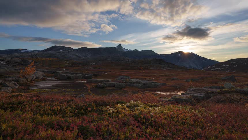 A wide grassland landscape with a mountain range in the background beneath a cloudy sunset