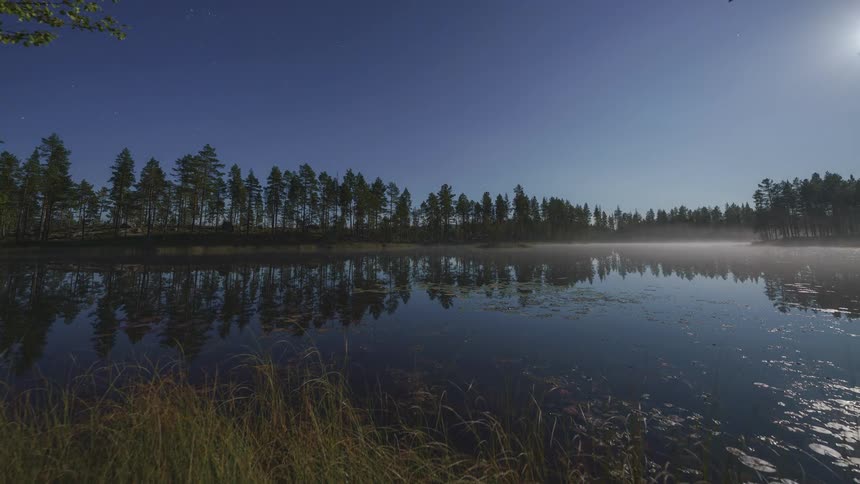 A calm lake in a time lapse scene reflecting its light and the silhouette of a dense pine forest onto the still waters surface while wispy clouds move across the sky and grass edges the foreground