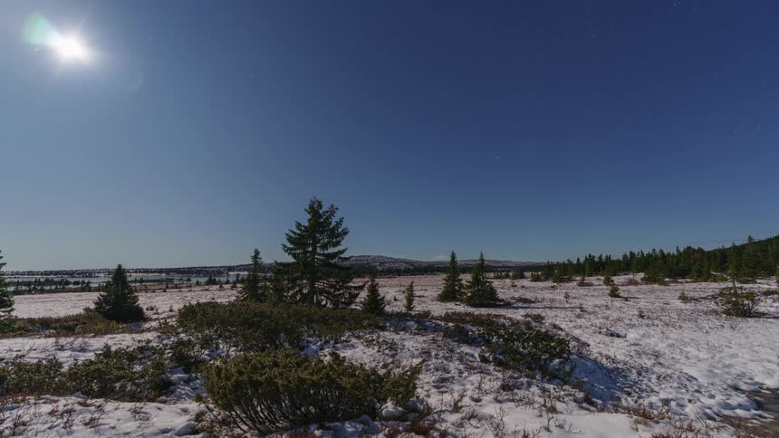 White beach sand along a treelined coastline the setting sunlight slowly fading from the sky