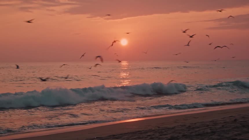 Numerous seagulls fly above as ocean waves wash onto a beach