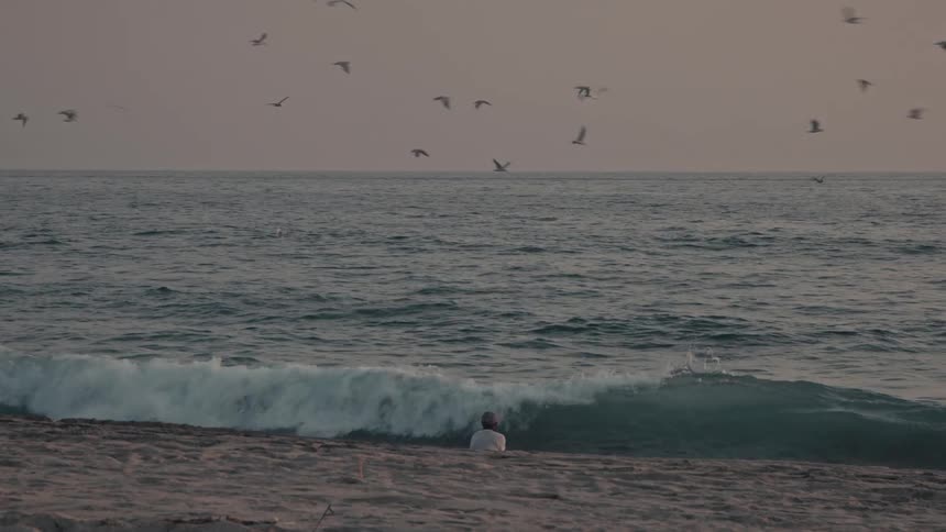 Man standing along the coast throws a fishing net into the water as a flock of seagulls fly overhead