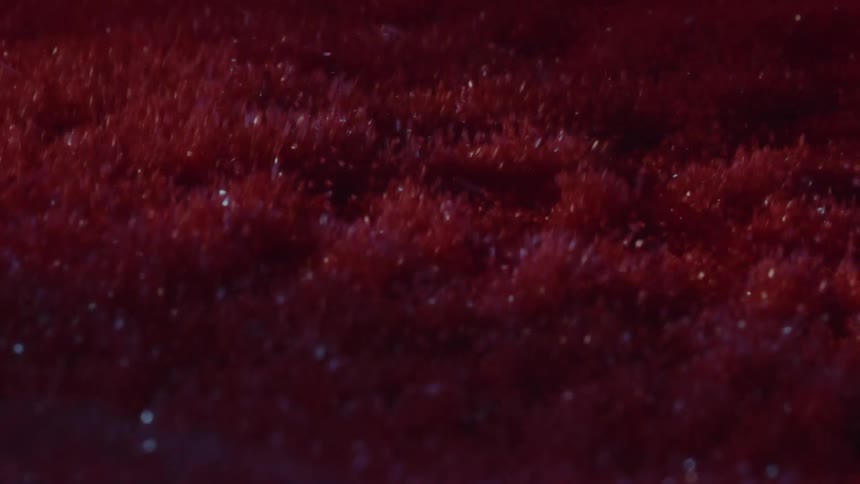 Reddish and reflective particles fly into the air while being shaken