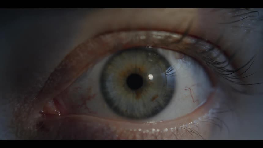 Extreme closeup of a human eye staring forward with detailed iris texture and visible eyelashes