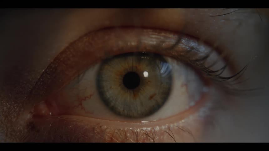 Closeup of a human eye with a lightcolored iris centered pupil and visible surrounding skin details