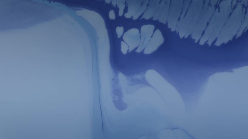 Closeup of blue and white paint swirling together in an abstract fluid pattern