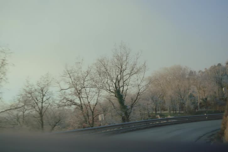 A car driving on a road in a forest