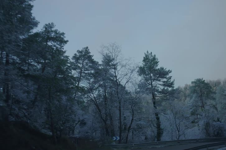 The camera moves along a winding mountain road passing through a dense winter forest where the pine trees are covered in white snow under a grey overcast sky