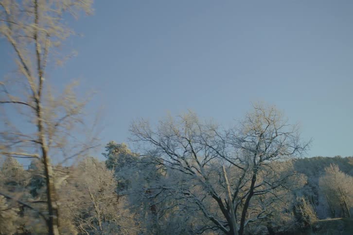 Tall trees coated in a delicate layer of white frost glide rapidly past the view their intricate branches standing out sharply against the bright backdrop of a clear winter day