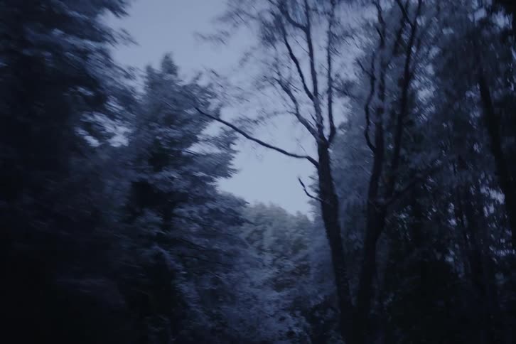 Snow and ice covered trees in the forested mountains