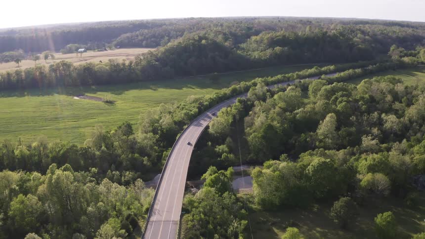 Cars moving along a countryside freeway on a sunny day with trees and tall grasses lining both sides of the road