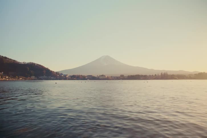 Ducks on the water with buildings and trees on the coast and mountains in the distance