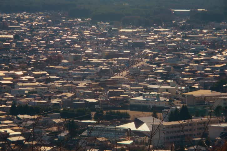 A sunlit view of a dense residential neighborhood with houses and small apartment buildings