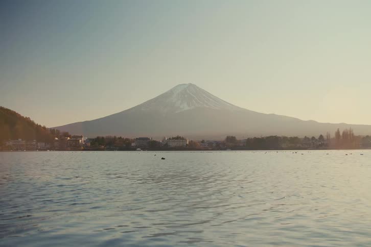 Ducks on the water with buildings and trees on the coast and mountains in the distance