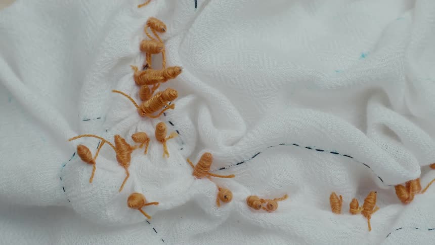 Orange embroidered knots are scattered across a white textured fabric in a deliberate patternthe fabric also features a simple dashed line of black stitching that serves as a guide or border for the embroidery