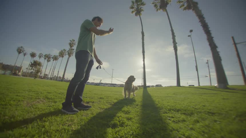 Man gestures with his hand while holding the leash of a dog sitting on grass in a park with palm trees