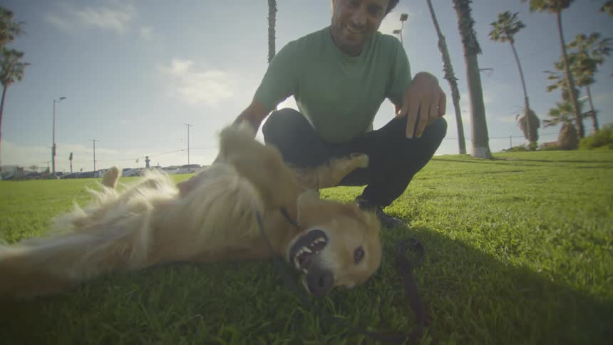 Man crouches on grass while petting a dog lying in an outdoor park