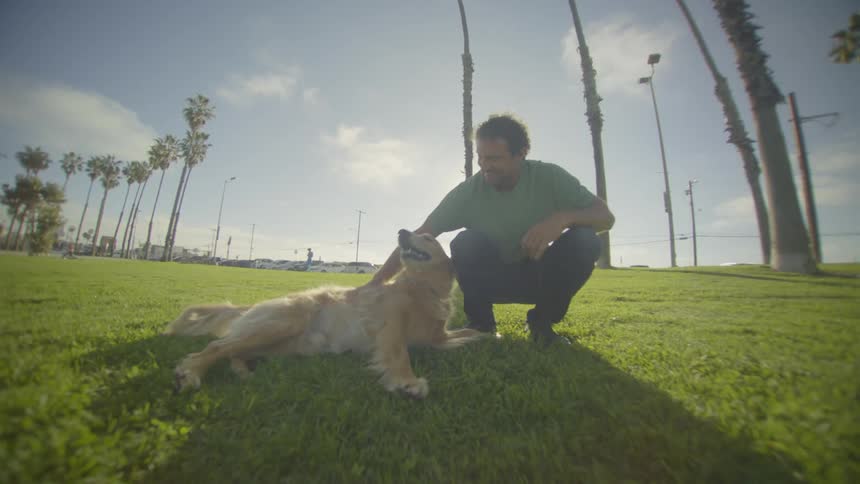 A man crouches in a sunny park gently petting a lightcolored dog resting on the grass beneath tall palm trees