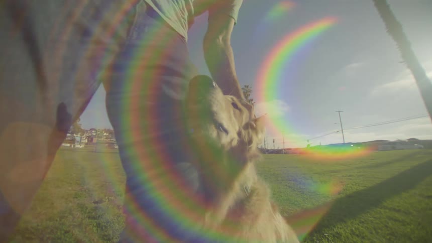 A man petting a dog on the head