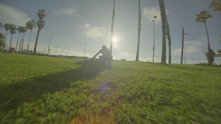 Man sitting with his dog in a field with palm trees as the sun shines brightly in the distance