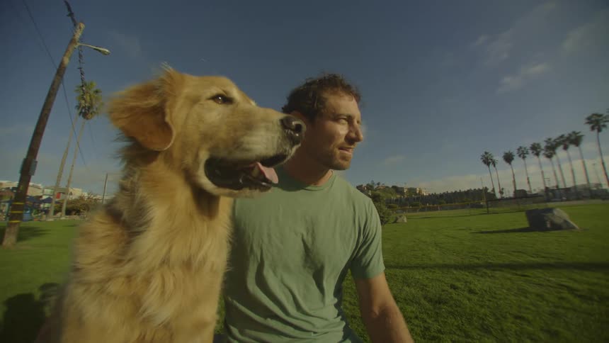 In a sundrenched coastal park a man in a green shirt sits beside his golden retriever on a lush lawn both gazing toward the horizon as warm light illuminates the dogs fur and the row of palm trees behind them