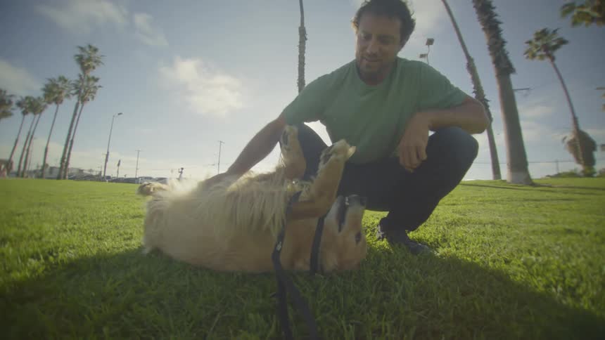 Man crouches in the park petting his dogs belly while the animal lies on its back