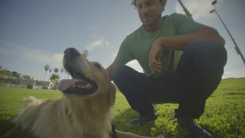 A smiling man in a green shirt kneels on a grassy field under a bright sky to pet a golden retriever that is lying down and panting happily