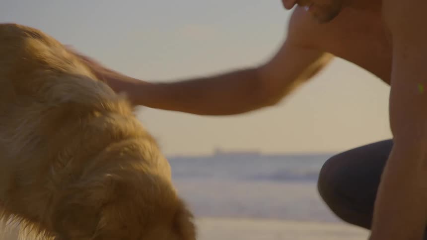 Man petting his dog as it digs in the sand on the beach