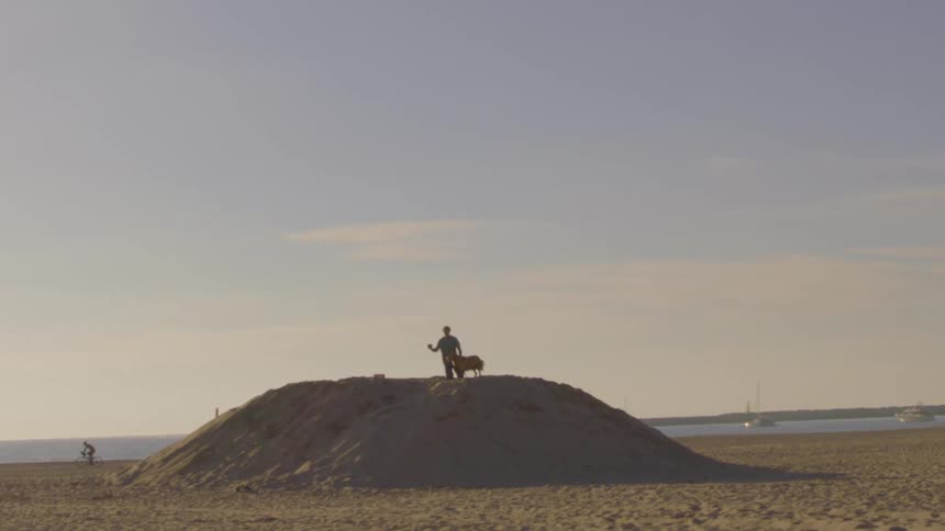 A dog and man standing out at the beach