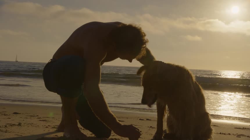 Young adult man petting a golden retriever dog next to the shore at a beach outdoors during dusk or dawn
