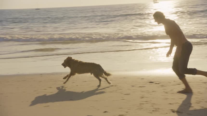 A young man barechested and wearing jeans with no shoes runs across the beach sand as he plays and chases his dog the setting sun reflects across the ocean water casting long warm light over the scene