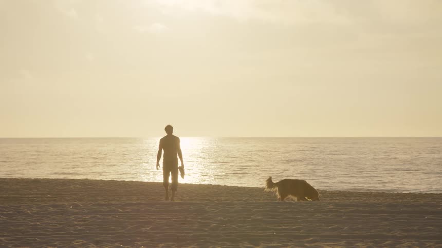 A man walks across a sundrenched beach at golden hour carrying his shoes as he heads toward the oceanbeside him a dog trots through the sand both silhouetted against the shimmering reflection of the sun on the water