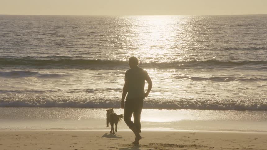 A man stands silhouetted on a beach at sunset watching his dog run toward the breaking wavesas the sun reflects brightly off the ocean the man turns slightly to his right while the dog playfully explores the shoreline