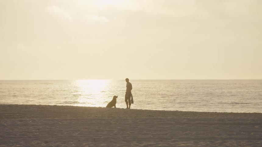 A man stands silhouetted against a bright hazy sunset on a sandy beach beside him a dog sits patiently as they both look out toward the calm ocean waves