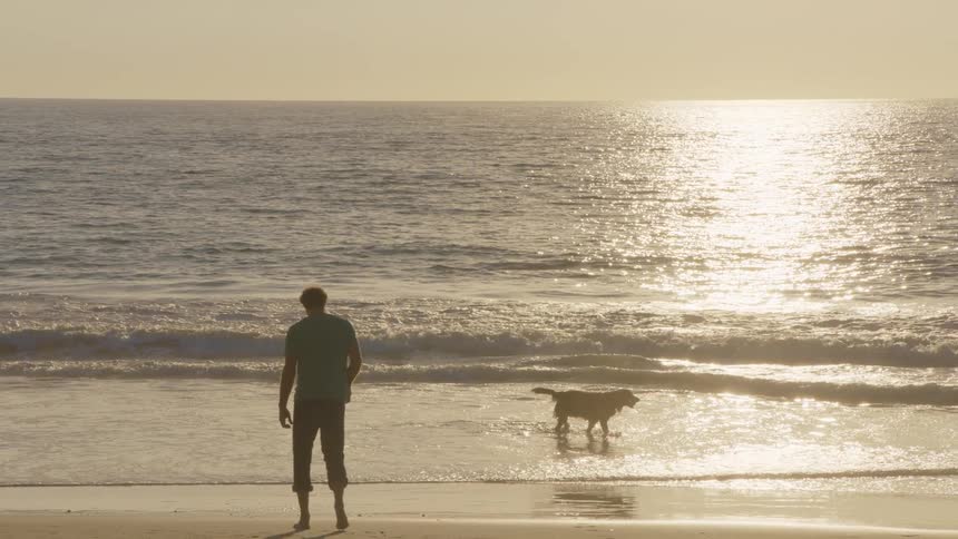 Person and dog at the beach during sunset with gentle waves and golden light on the water
