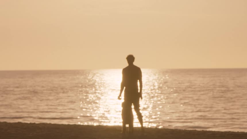 A person and their dog stand in silhouette on a beach facing a calm ocean at sunsetsparkling sunlight reflects off the waters surface creating a bright path of light that leads toward the horizon