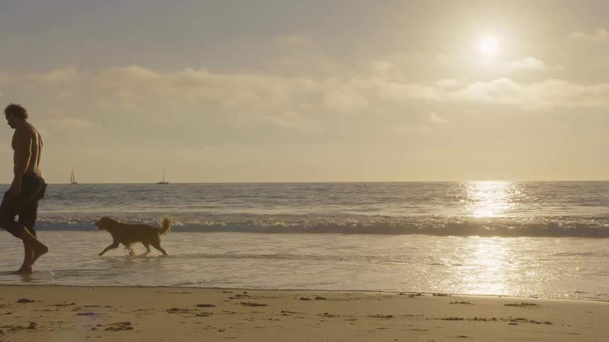 A shirtless man walks along a sandy beach with his golden retriever and the sun glows in a hazy sky as a small sailboat rests on the horizon in the background