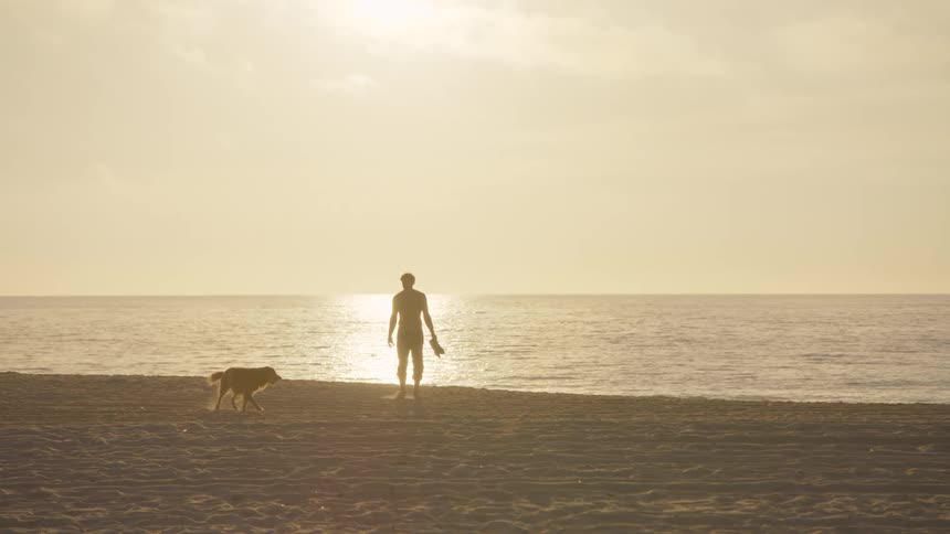 Man walking on the beach with his dog