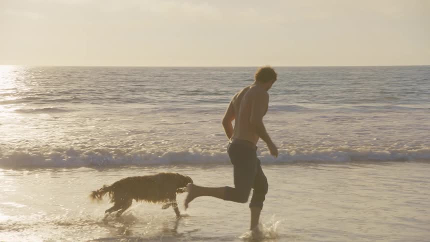A man and dog playfully run along the sandy shoreline in shallow ocean water at sunset