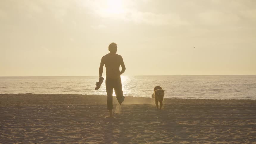 A man and dog run and play together on a sandy beach at golden sunset
