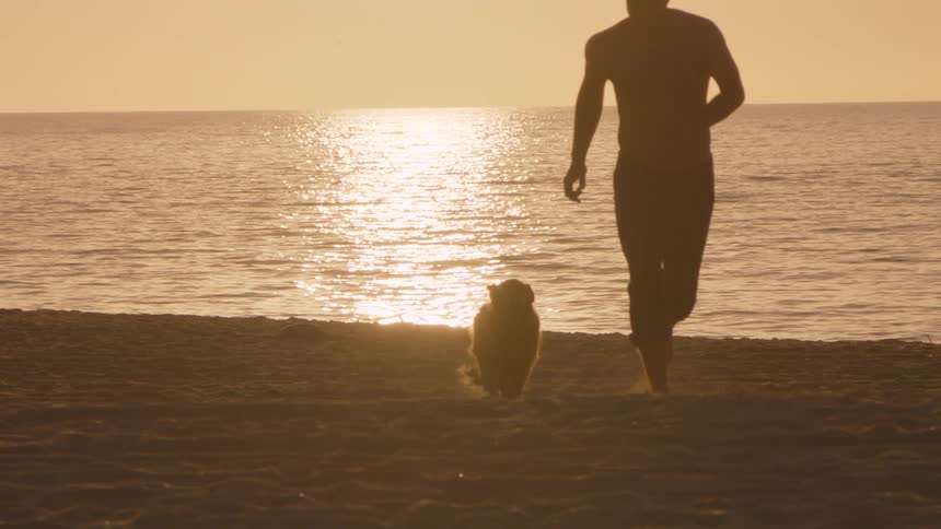 Silhouette of a man running with a dog on the beach sand