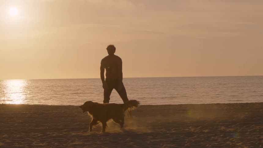 Man standing on the beach playing with his dog