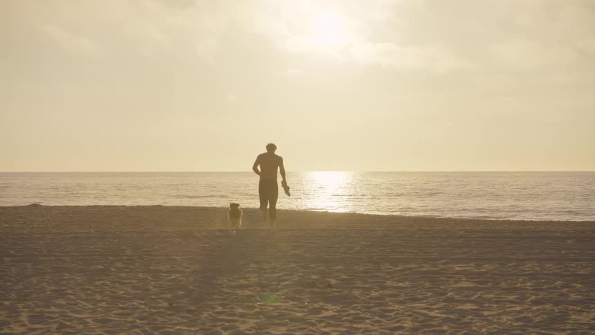 Man running with a dog on the beach sand