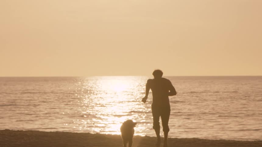 Man running on the beach with his dog as sunlight shines on the water